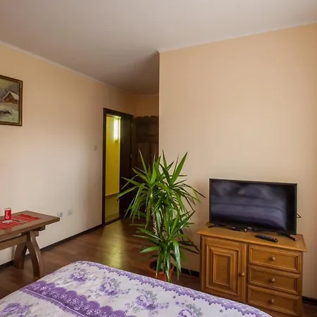 Pensiunea Victoria Guest house Sutu