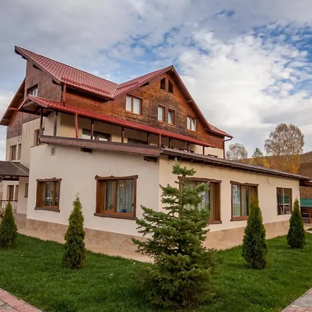 Pensiunea Victoria Guest house *