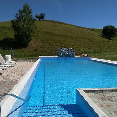 Pensiunea Victoria Guest house *